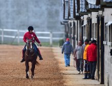 09.07 Corridas &raquo; 09.07 Corridas &raquo; matinal 060624